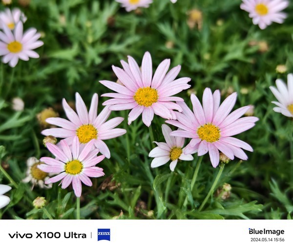 使用vivo X100 Ultra人文街拍相机拍摄