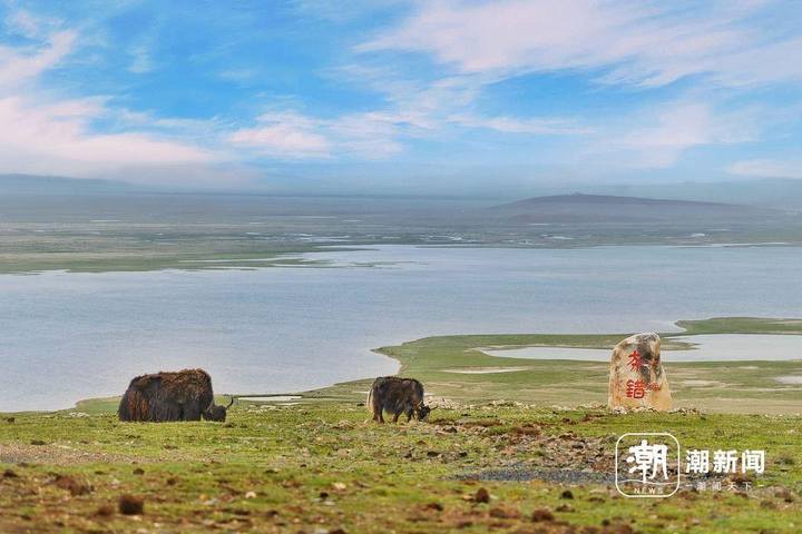 夯错湿地暗夜星空景区。潮新闻记者 王嘉楠 摄