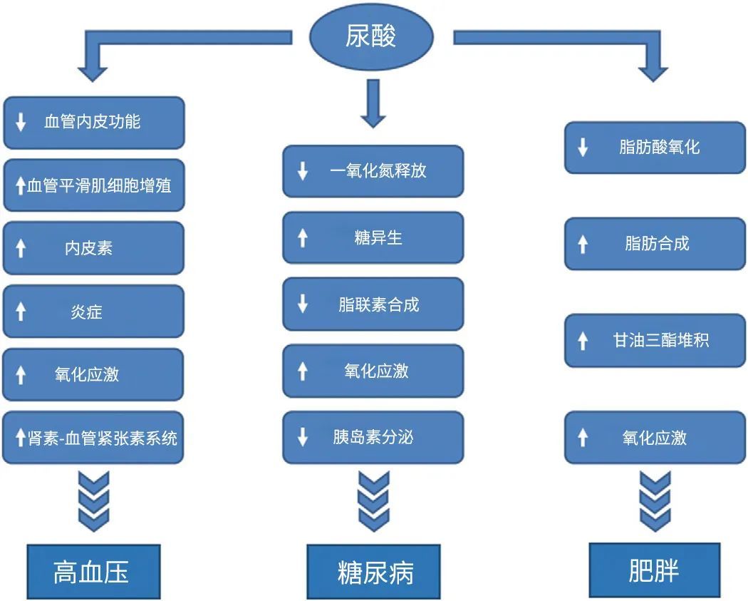 尿酸危机，席卷中国