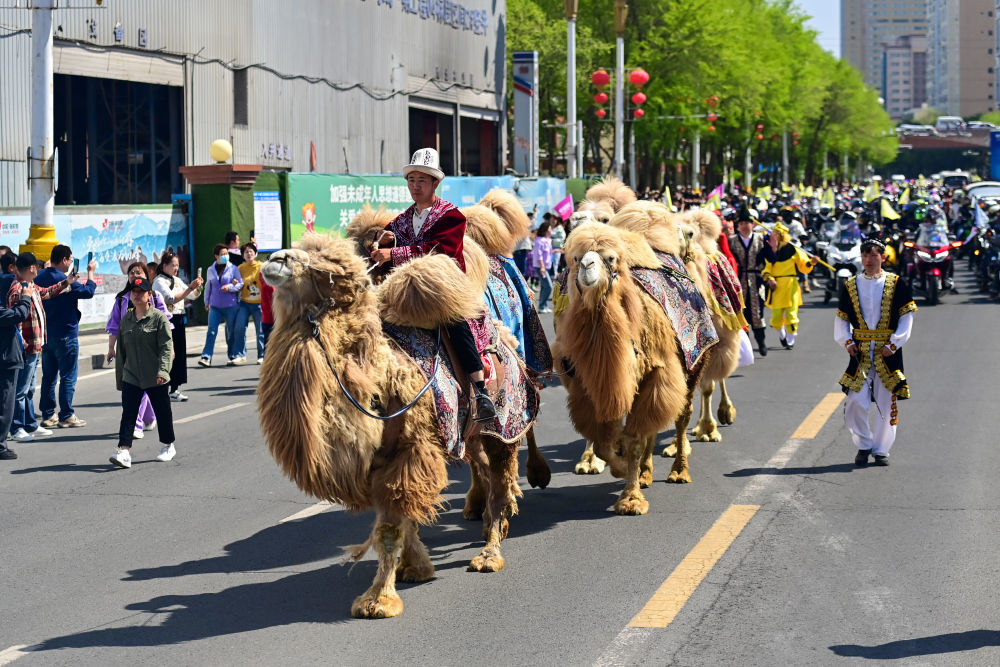 ↑这是4月30日在新疆乌鲁木齐市举行的巡游活动上拍摄的商贾驼队。