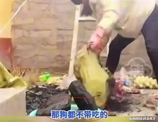 女网红拿无东说念主区救命粮喂狗 被降低后称遭到了网暴