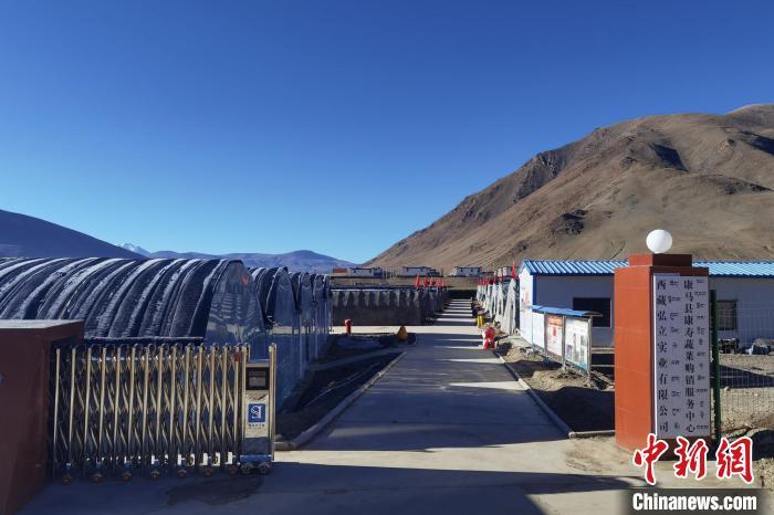 图为海拔4400多米的西藏康马县萨马达乡的温室大棚。受访者供图