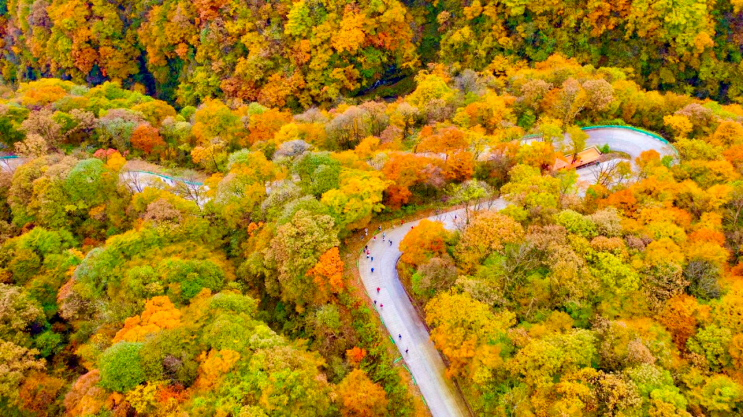 留坝古栈道虽已久远,但逢山开路、遇水架桥的进取精神一直是其鲜明的集体人格。