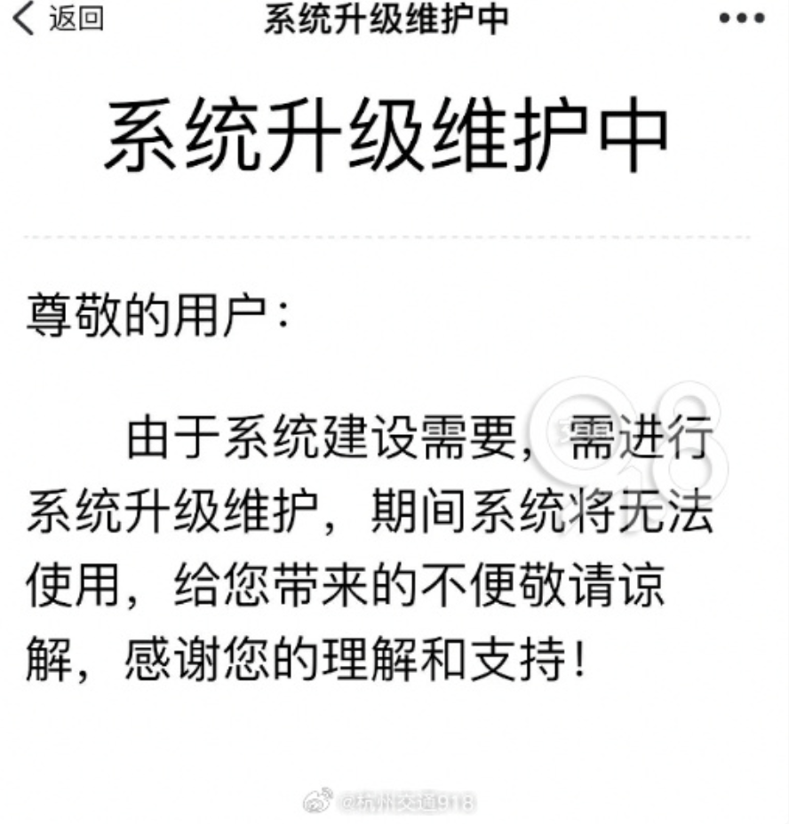 服务器曾被挤爆，政务APP里能相亲？