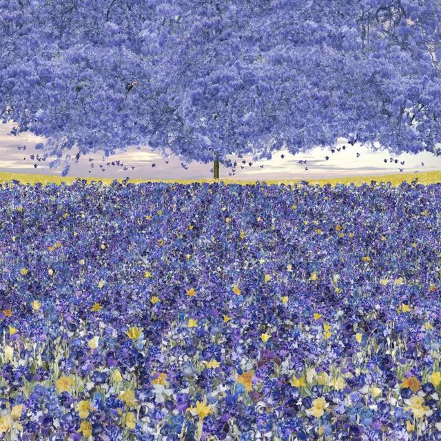 ▲ 《紫藤花之树》吉维尼系列,让·弗朗索瓦·赫奇耶,2024,图片©️ Jean-François Rauzier