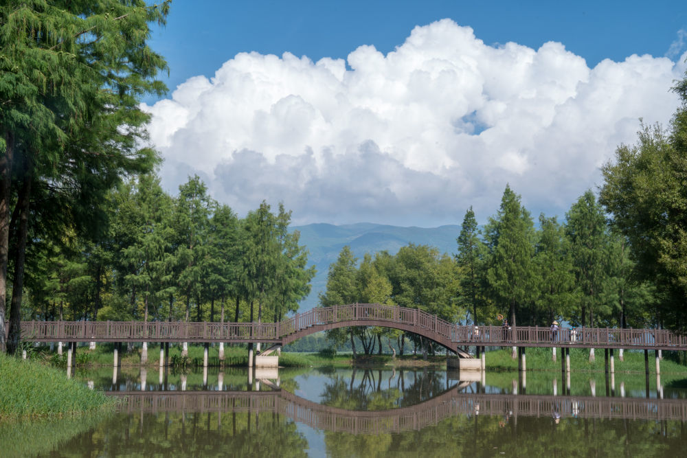 这是8月21日拍摄的茈碧湖弥茨河入湖口处的湿地公园一景。新华社记者彭奕凯 摄