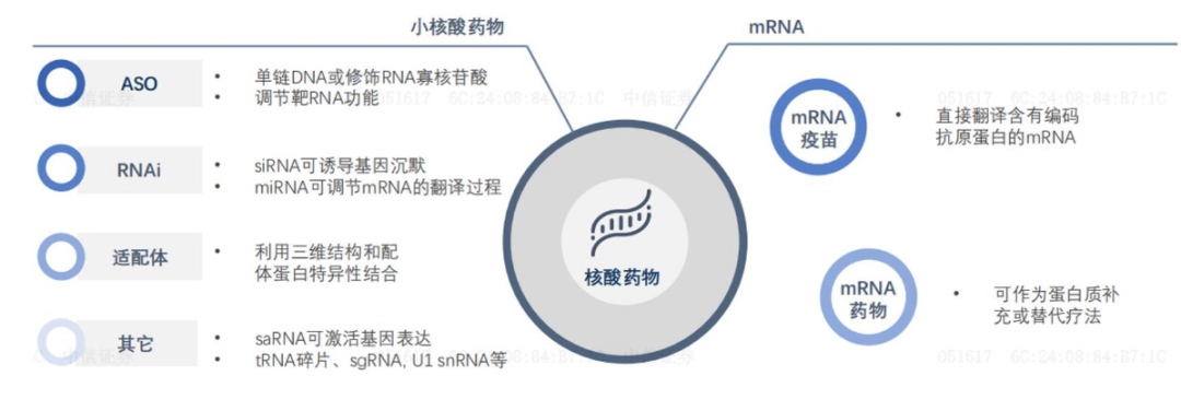 核酸药物分类，中信证券