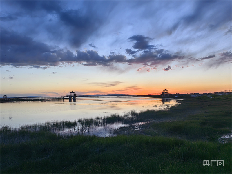 夕阳下的高家湖湿地（央广网发 白翔 摄）