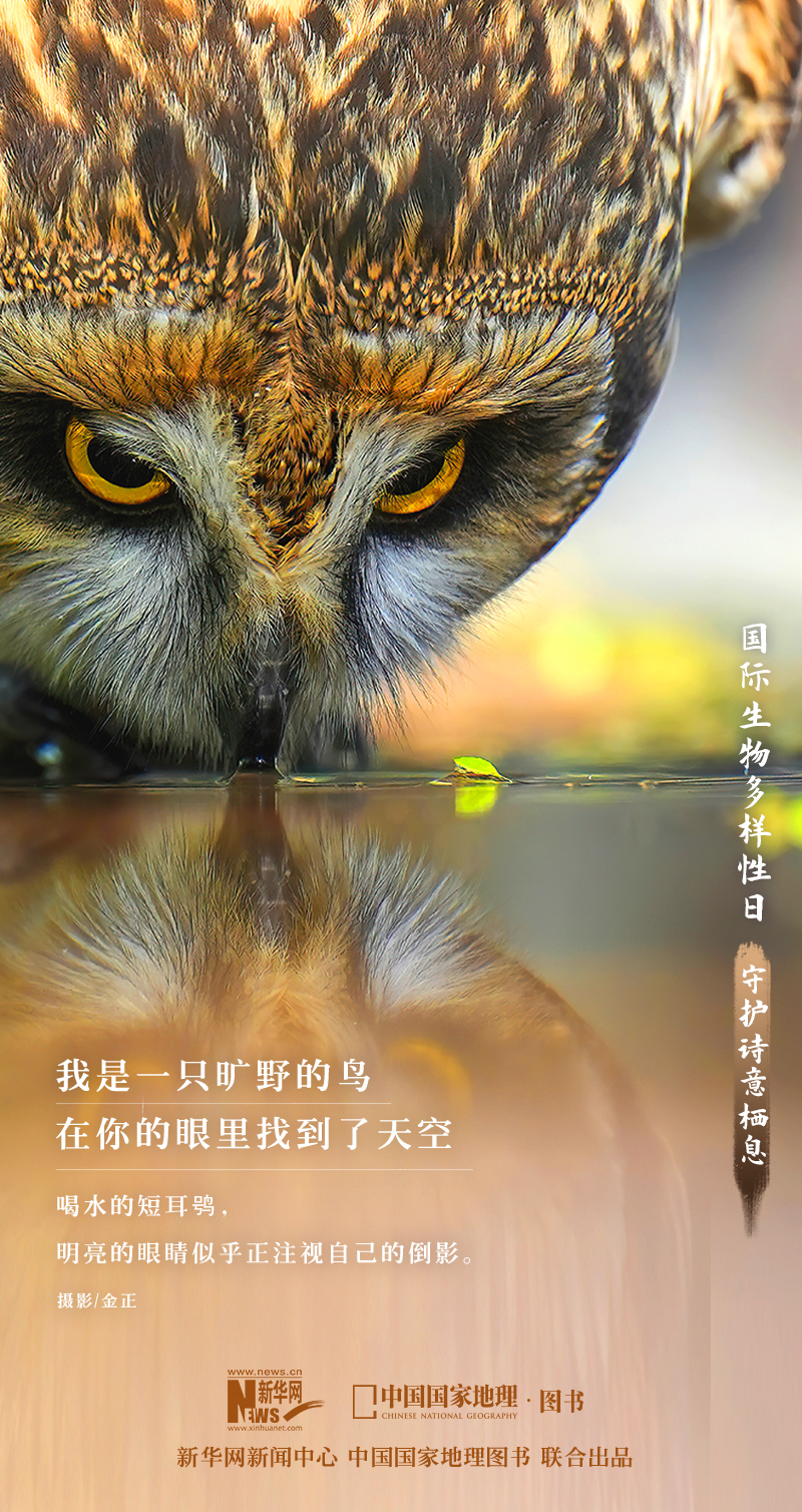 △本组生物照片选自中国国家地理摄影画册《生而为野》