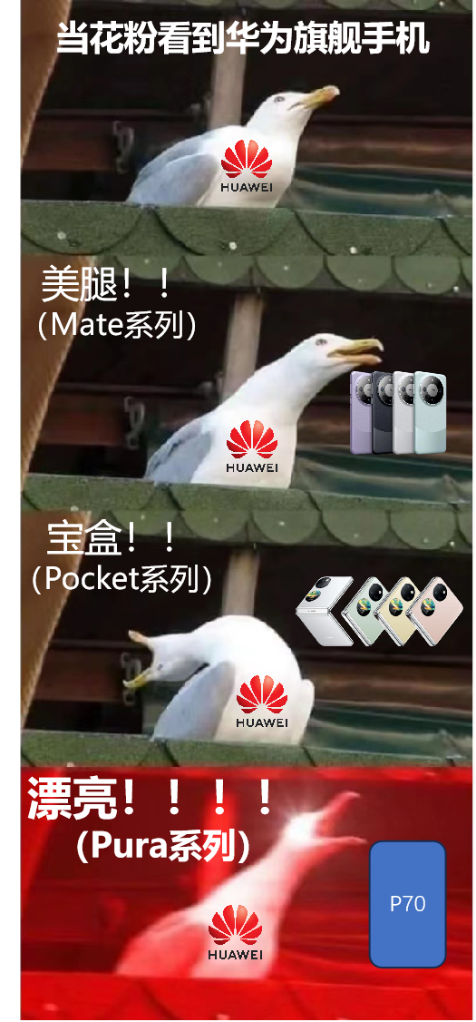 P系列改名“华为Pura”到底怎么读 网友起极简译名:漂亮