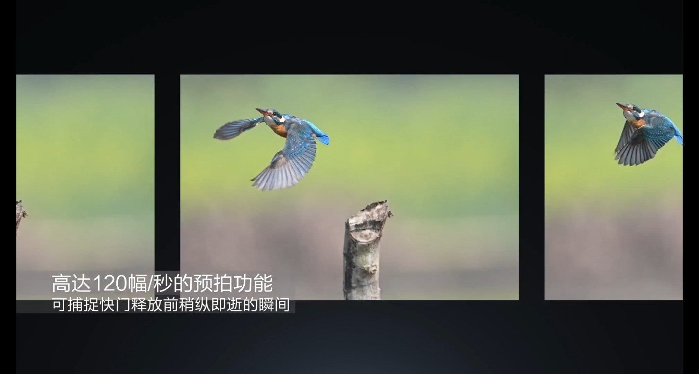 尼康Z6III的五个核心卖点