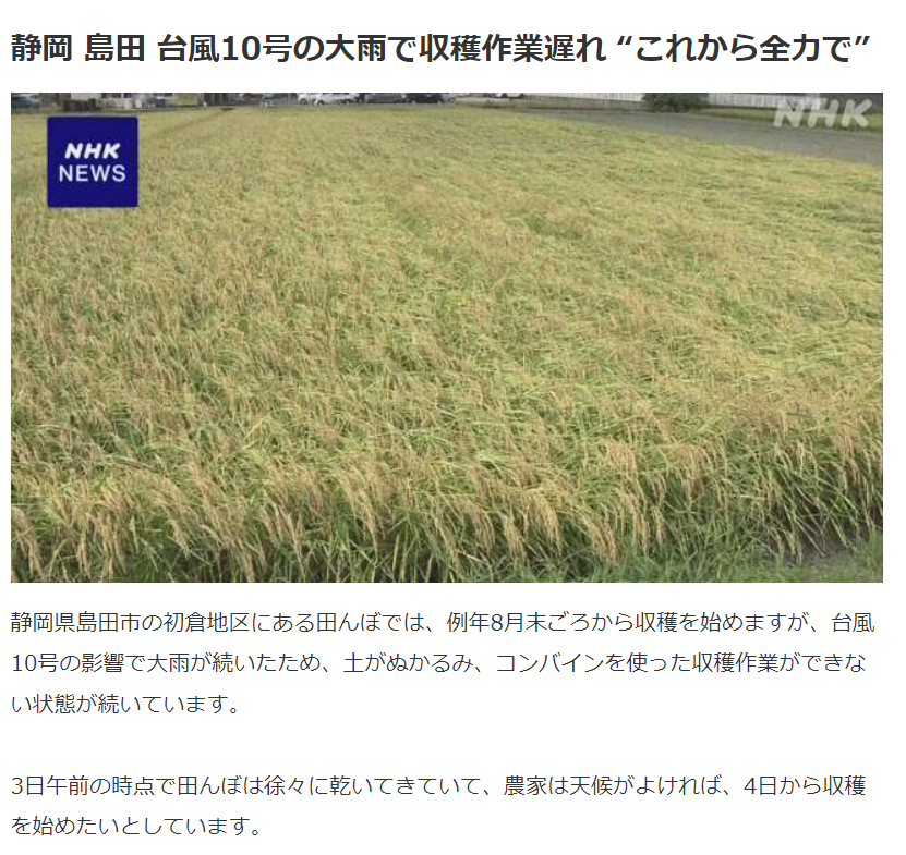 NHK新闻