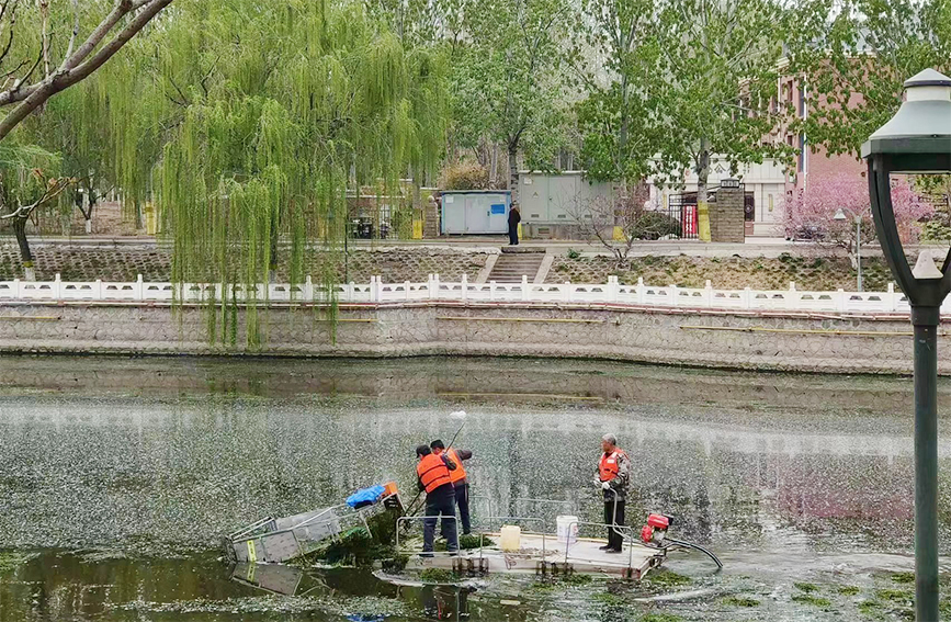 武清区水务局水面保洁责任主谈主员正在进行水草计帐责任。天津市武清区水务局供图