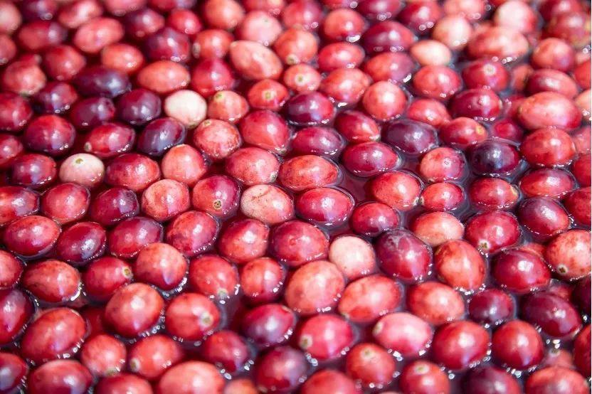 国货大拜年!请照单全收吧!_凤凰网资讯_凤凰网