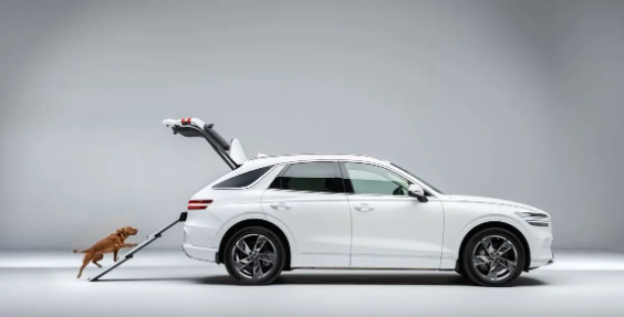 全球首创狗狗座椅!捷尼赛思GV70发布宠物专属套件