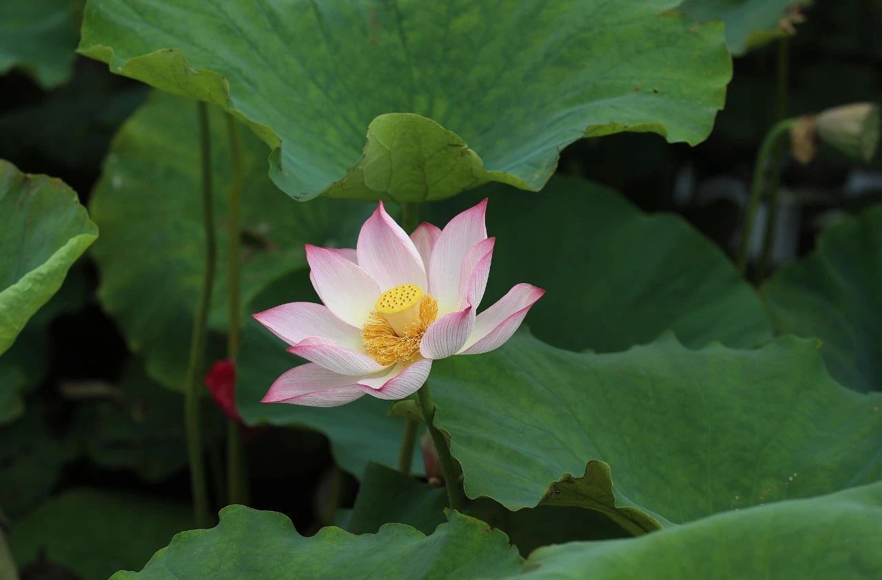 「宁夏」，你可太宝藏了