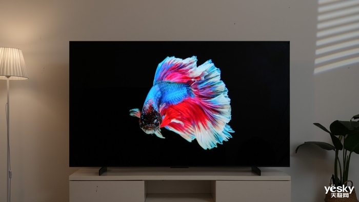 适合多数人的旗舰Mini LED电视 TCL Q10K评测