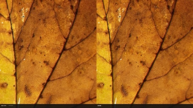 RTX 40 SUPER系列显卡AI性能对比 差距到底有多少