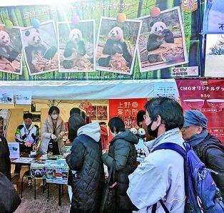 【四海同春】熊猫：春节庆典的主题