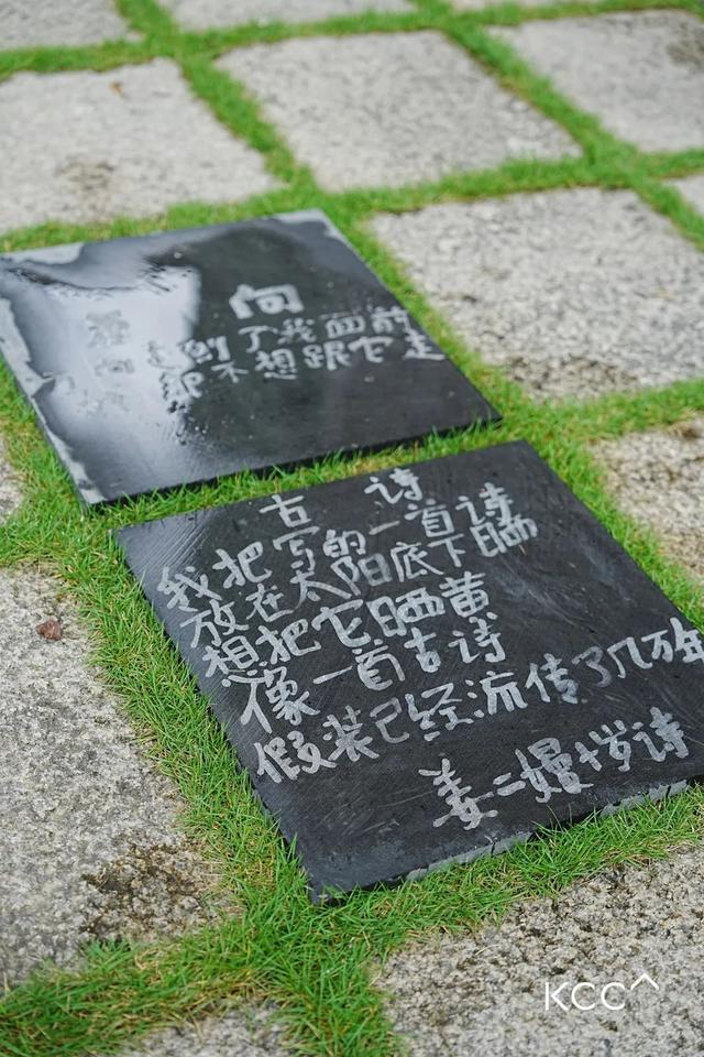 ▲ 《等待一场雨》,邱志杰,2022-2023