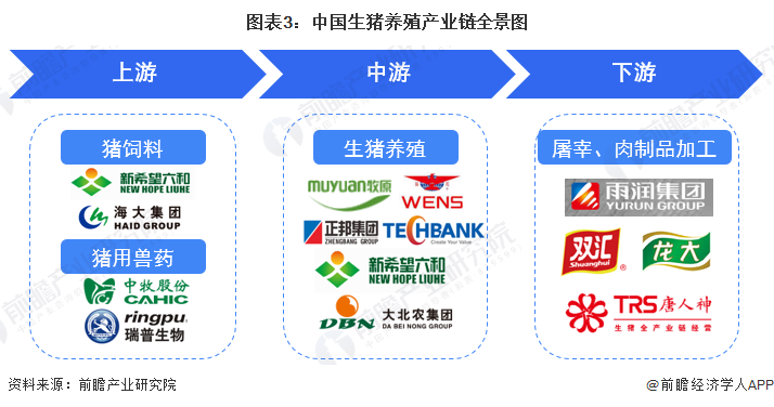 图表3:中国生猪养殖产业链全景图