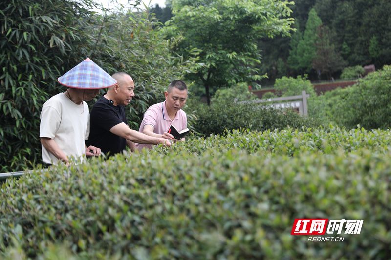 77_副本.jpg