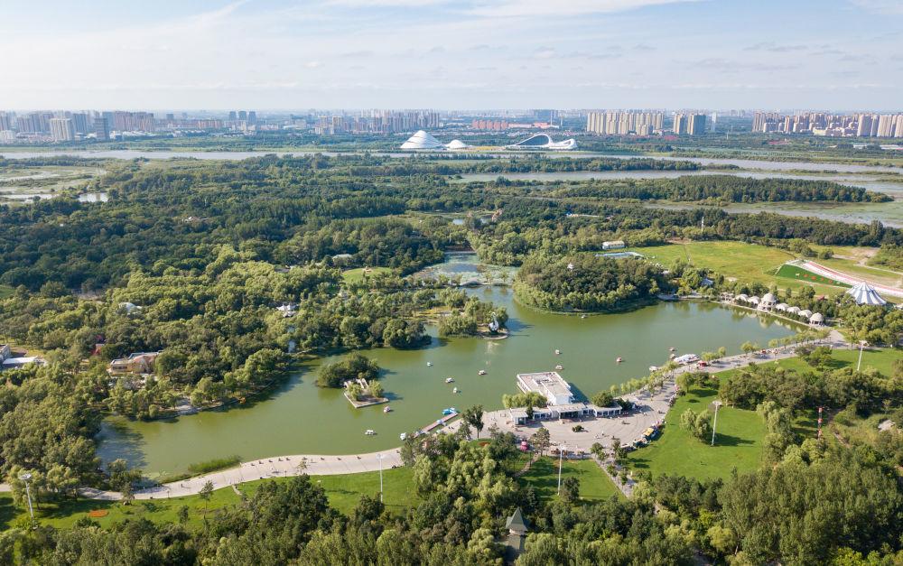 游人在哈尔滨太阳岛风景区的太阳湖上游览。新华社记者 王建威 摄