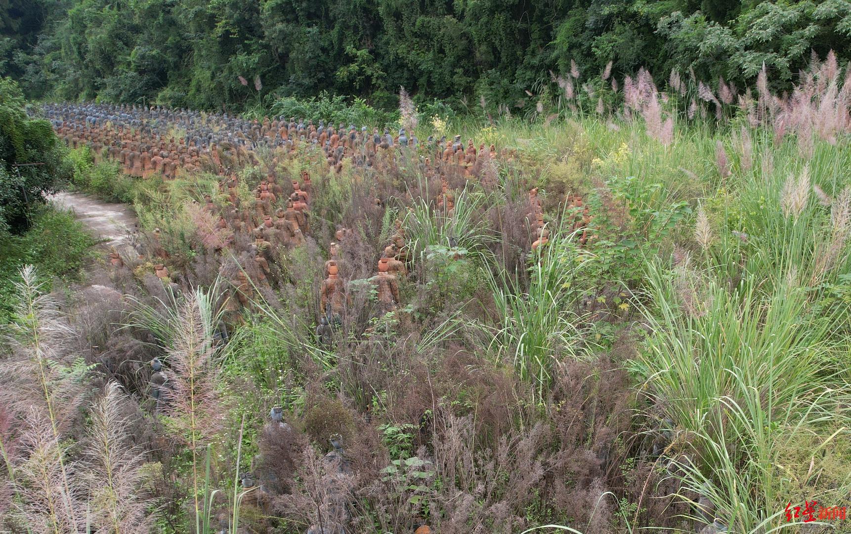 ▲掩藏在杂草中的“兵马俑”