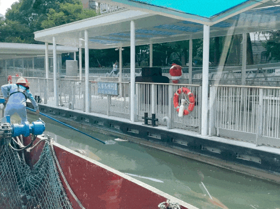2023年7月2日，湖北荆门，京山市自然资源和规划局举行野生鸟类放生活动。（图源：视觉中国）