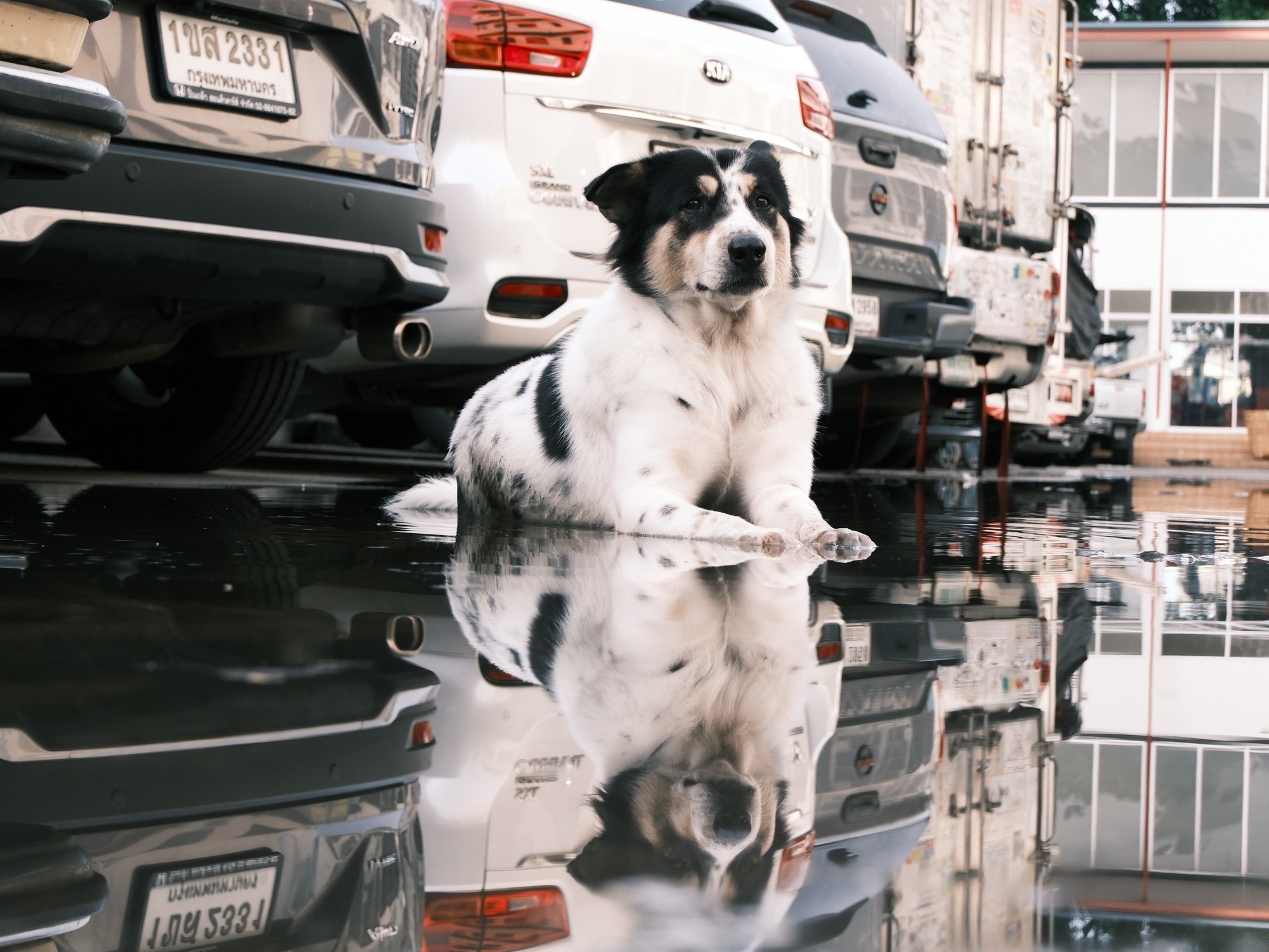 “捕捉瞬间,定格永恒 ”富士XF30mm F2.8记录生活瞬间之美