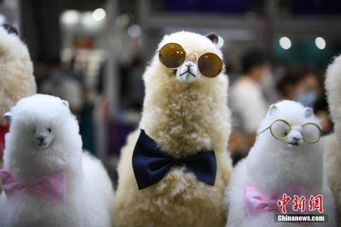 资料图：2021年5月7日，首届中国国际消费品博览会在海南省海口市正式开展，秘鲁羊驼毛产品品牌Warmpaca携各种羊驼萌宠玩偶亮相消博会。 中新社记者 崔楠 摄