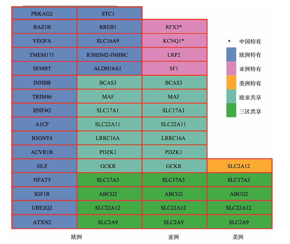 尿酸危机，席卷中国