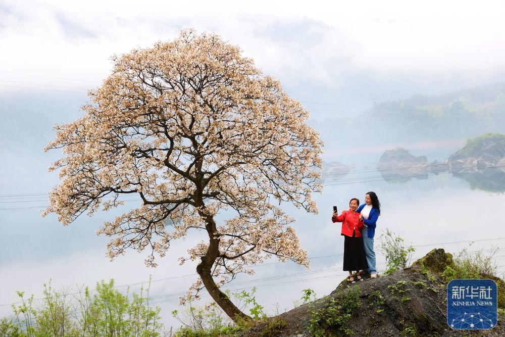 4月9日，在重庆市黔江区小南海景区，游客在小南海堰塞湖边赏花游玩。新华社发（杨敏 摄）