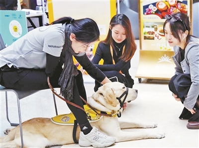 李苑甄在向公众介绍导盲犬