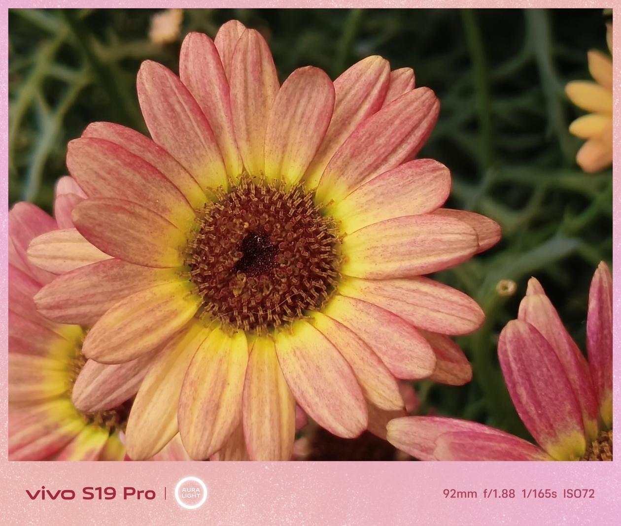 vivo S19 Pro全面评测 光的艺术,更进一步