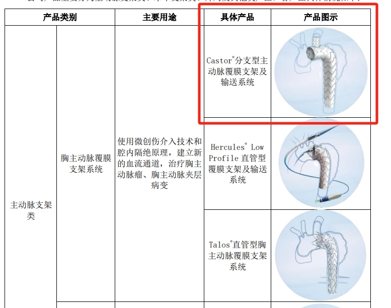 Castor支架产品图示 来源：2023年财报