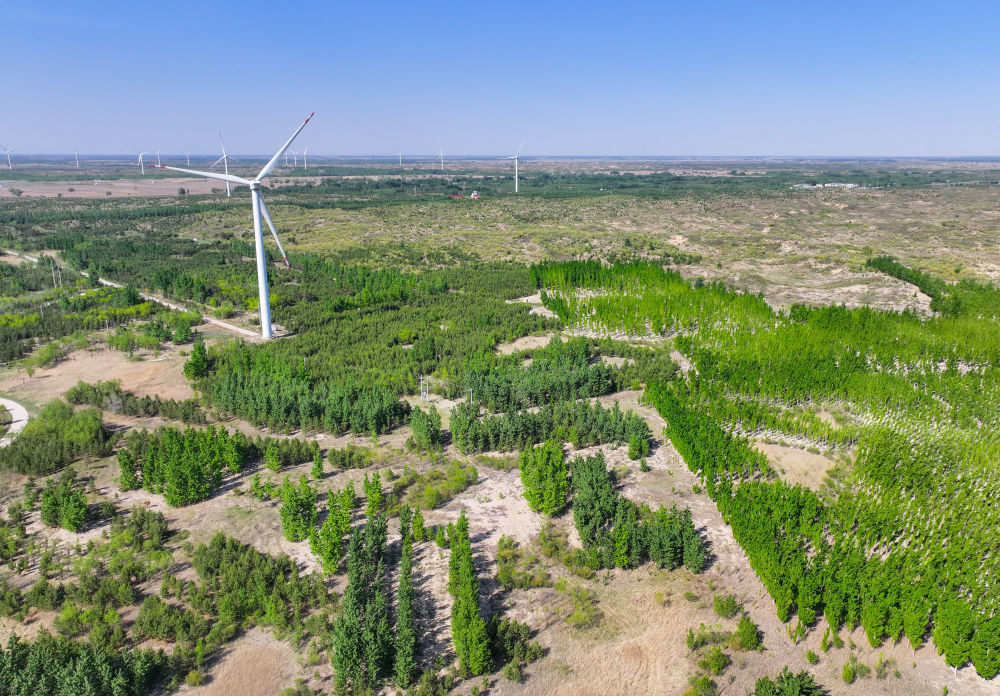 这是在内蒙古通辽市科尔沁沙地“双百万亩”综合治理工程努古斯台项目区拍摄的风力发电机组（2024年5月15日摄，无人机照片）。新华社记者 连振 摄