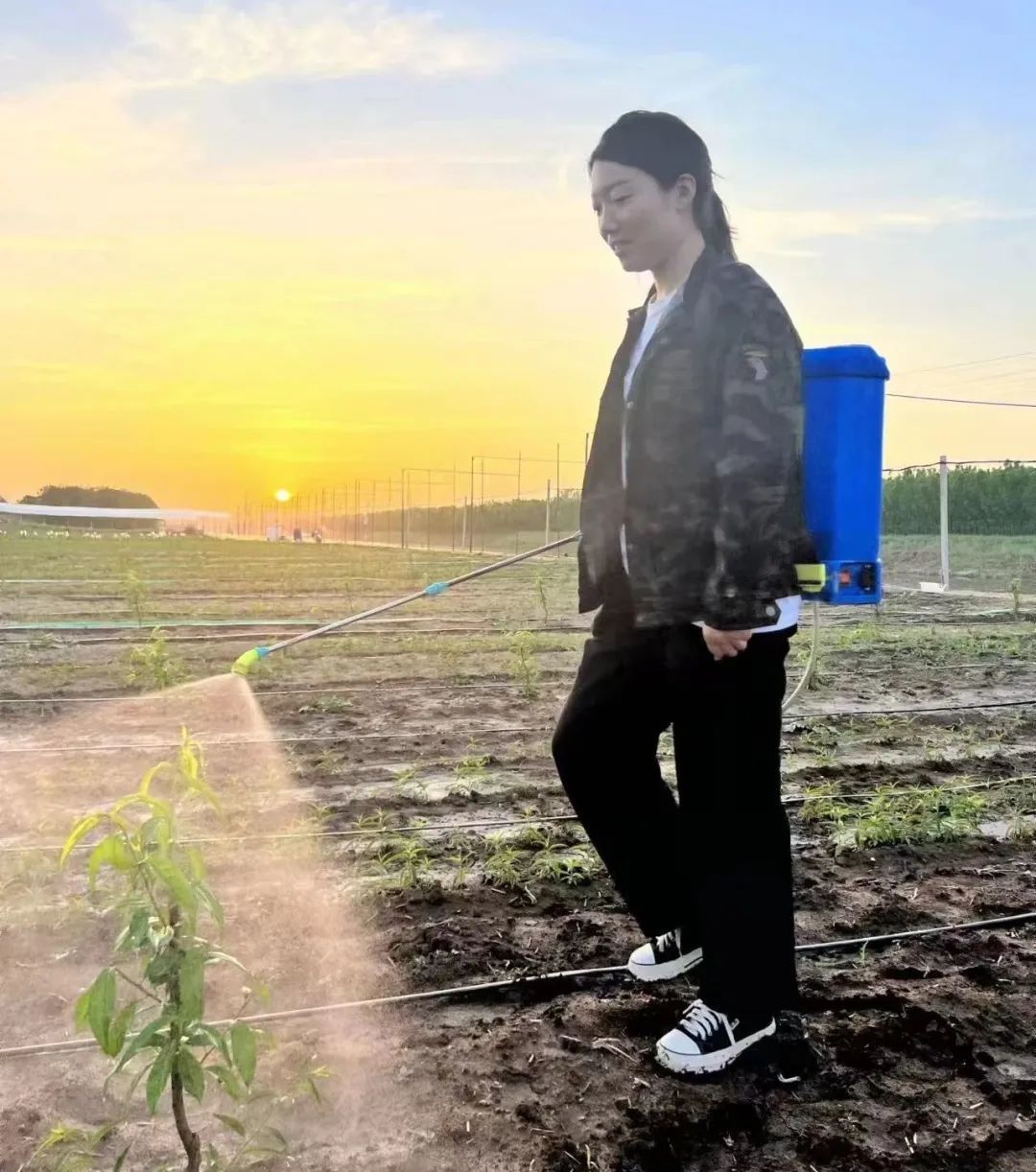 宋丹阳在为树苗打药