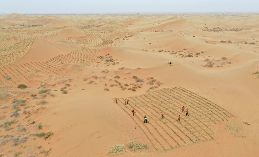 2024年4月27日,治沙工人在内蒙古阿拉善左旗腾格里沙漠s315沿线固沙