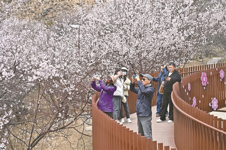 游客在林芝嘎拉桃花源拍照游玩。记者 次仁平措 摄