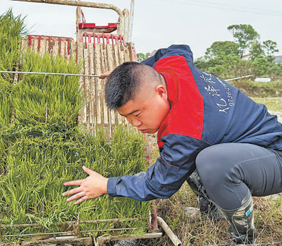 只要奋力奔跑 就能闪闪发光（光荣属于劳动者）