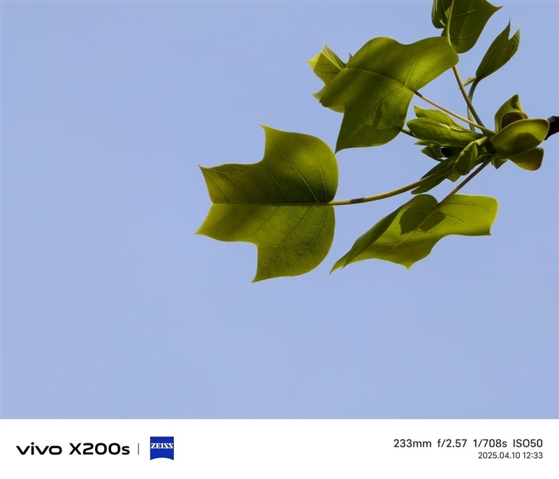 果味十足的vivo手机!vivo X200s全面评测:最强“苹替”的安卓标准旗舰