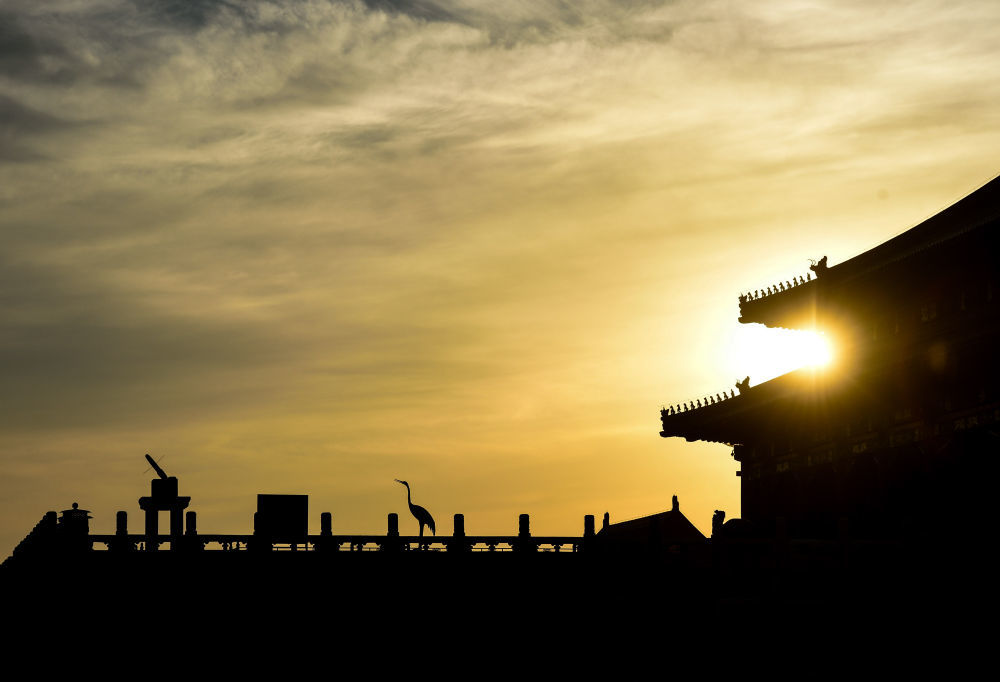 2015年/摄影:罗晓光