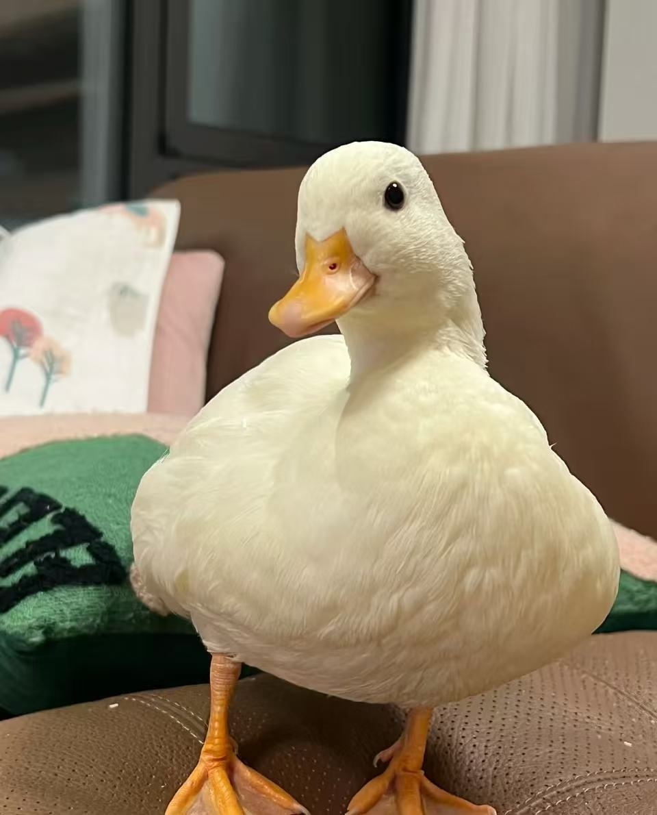 微信圖片_20250917173350_77_120