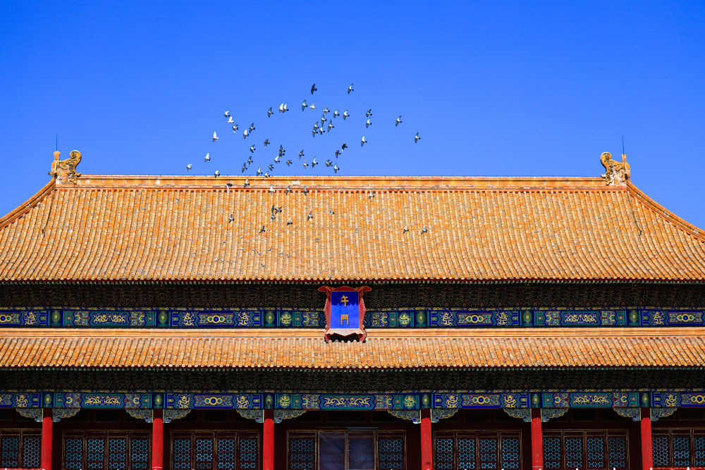 2025年/摄影:刘佳琪