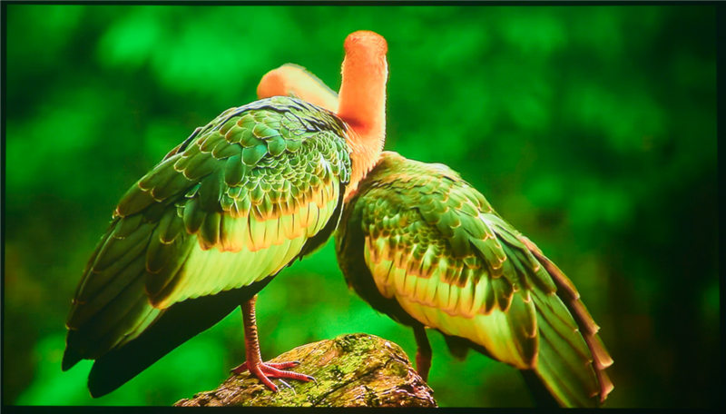 亮度不虚标的典范!哈趣H3 Ultra Max评测:2000元以内最强游戏投影仪