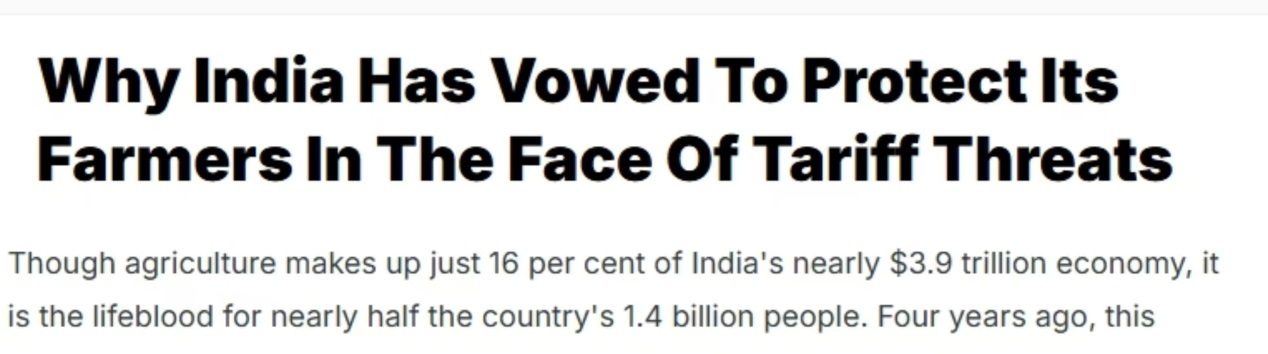 印度新德里电视台报道截图