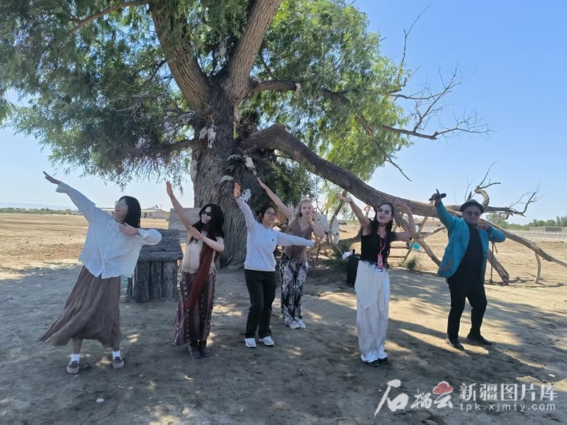 7月25日,在哈巴河县彩虹布拉克景区,叶思思(左一)和“石榴花开 籽籽同心”采访团的队友在“巴太树”下跳舞。 石榴云/新疆日报记者 甘兴华摄