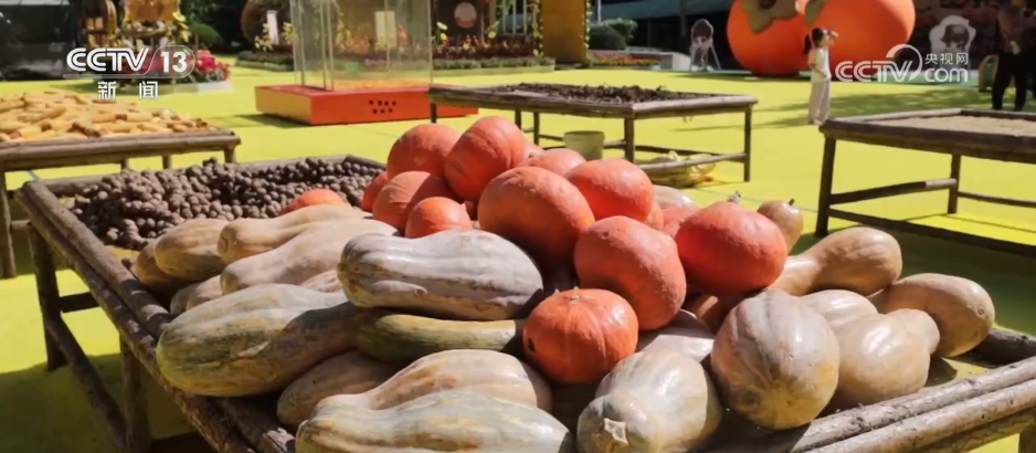 秋日里的中国斑斓如画 神州大地绘就绿水青山“幸福图景”