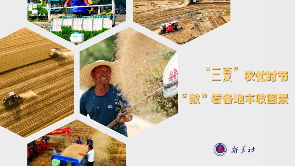 微视频｜“三夏”农忙时节 “数”看各地丰收图景